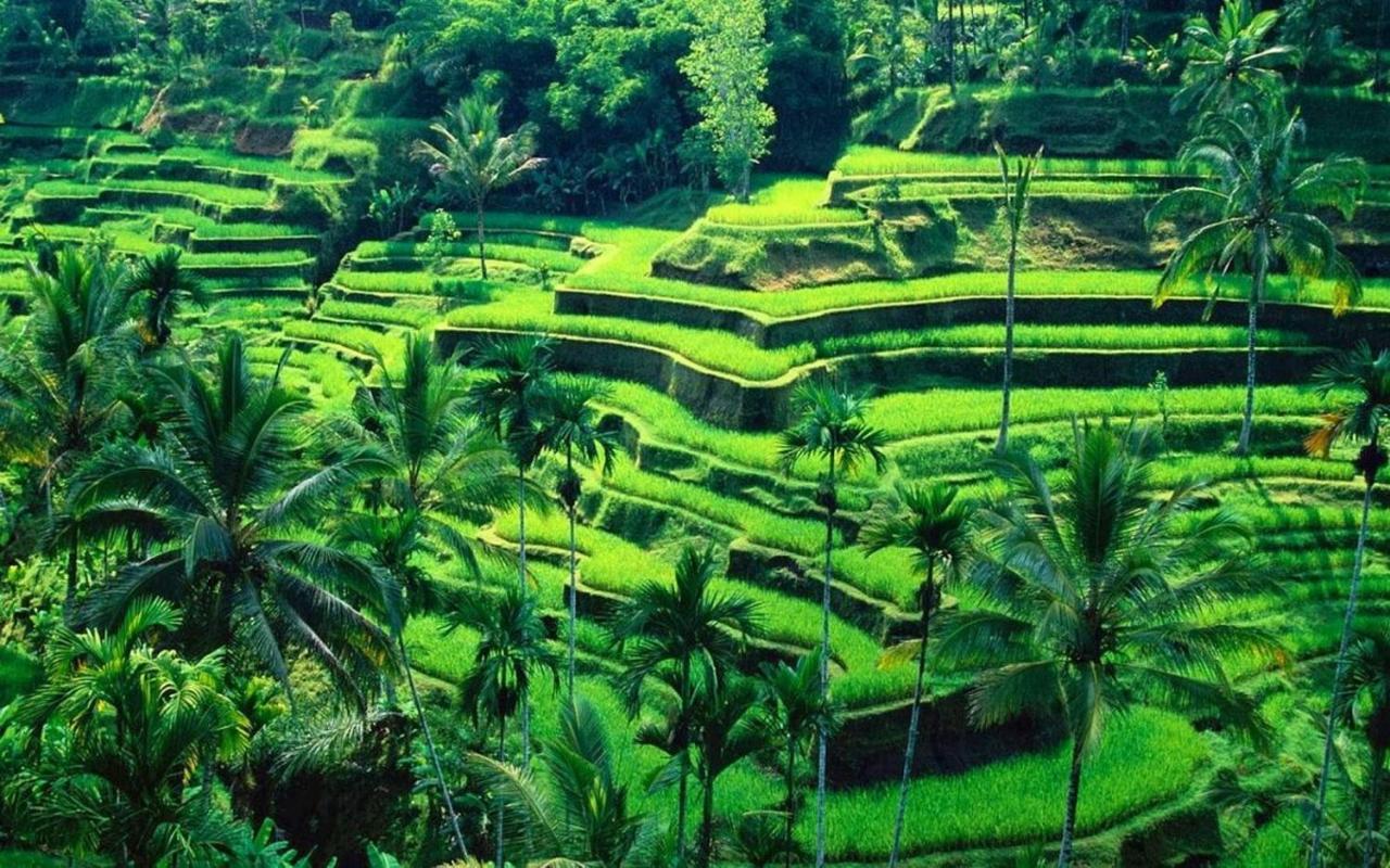 Ubud River Campuhan Villa ภายนอก รูปภาพ